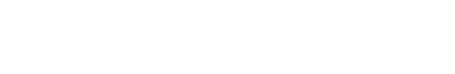 Versusville Website and 202X Patch logo